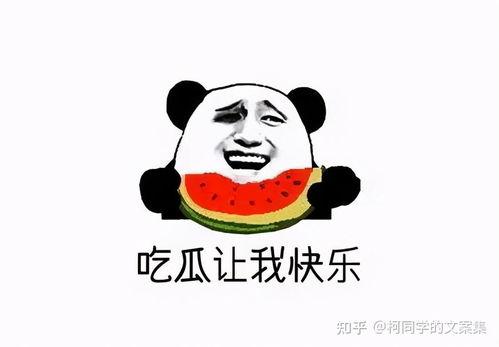娱乐吃瓜的文案搞笑,笑料百出,吃瓜群众笑翻天! 第3张 娱乐吃瓜的文案搞笑,笑料百出,吃瓜群众笑翻天! 第3张